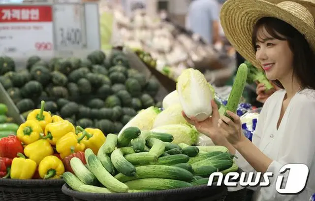 キャベツときゅうりの摂取で、新型コロナによる死亡率が減少する可能性があると、ヨーロッパの研究者たちが主張している（提供:news1）