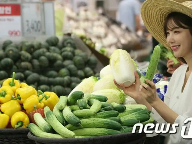 キャベツときゅうりの摂取で、新型コロナによる死亡率が減少する可能性があると、ヨーロッパの研究者たちが主張している（提供:news1）