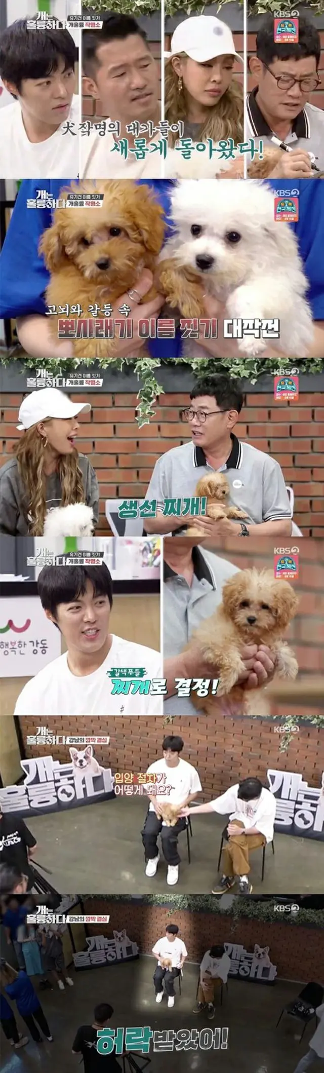 KangNam、番組で出会った捨て犬“チゲ”を養子縁組に迎える決心…妻のイ・サンファも「OK」（提供:OSEN）