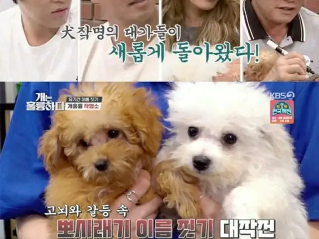 KangNam、番組で出会った捨て犬“チゲ”を養子縁組に迎える決心…妻のイ・サンファも「OK」（提供:OSEN）