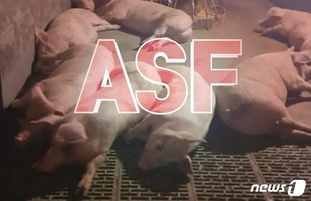 韓国・華川でASF（アフリカ豚熱）感染のイノシシ2頭確認（画像:news1）