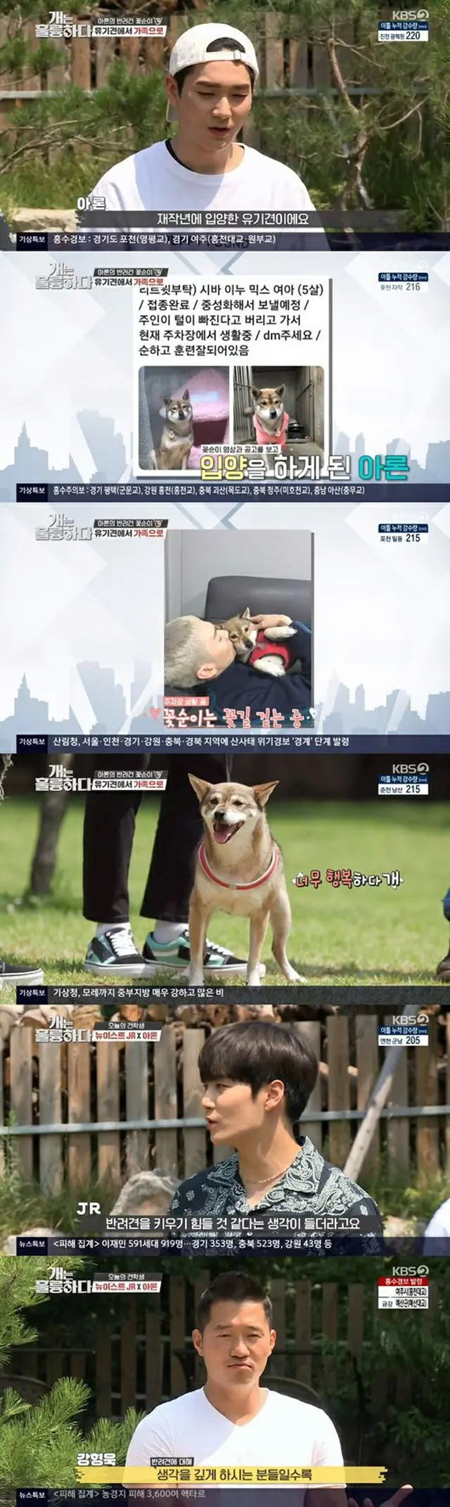 「NU’EST」JR＆アロン、「犬は素晴らしい」に出演…アロン「捨て犬だったコッスニと駐車場で出会った」（提供:OSEN）