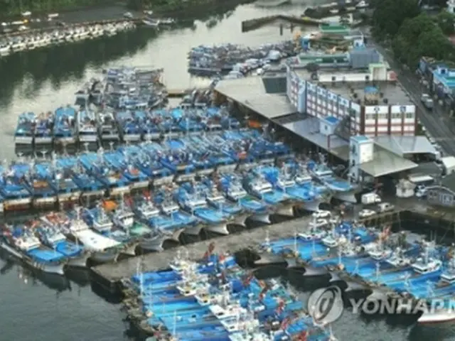 済州島南部の西帰浦港に避難している漁船＝１０日、西帰浦（聯合ニュース）