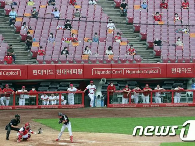 韓国プロ野球の観客入場、きょう（11日）から全座席数の25%に（画像:news1）
