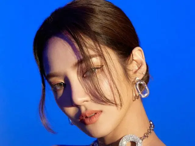 「少女時代」ヒョヨン（DJ HYO）、きょう（8/11）Twitterブルールームライブ実施（提供:news1）