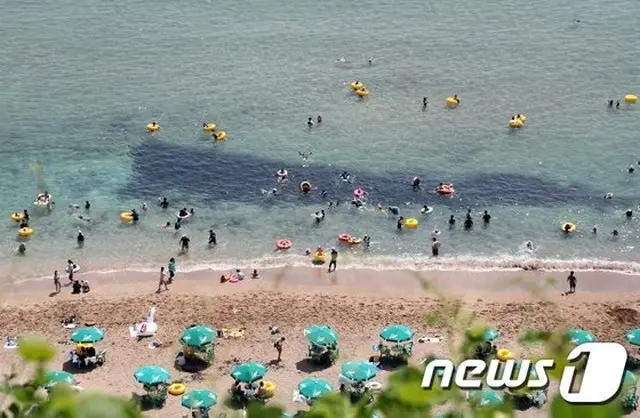 道内11か所の海水浴場を緊急閉鎖…23日0時から＝韓国済州道（提供:news1）