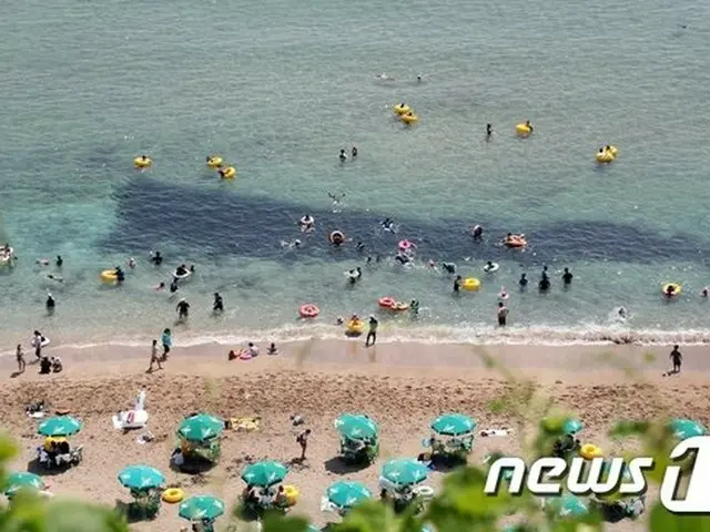 道内11か所の海水浴場を緊急閉鎖…23日0時から＝韓国済州道（提供:news1）