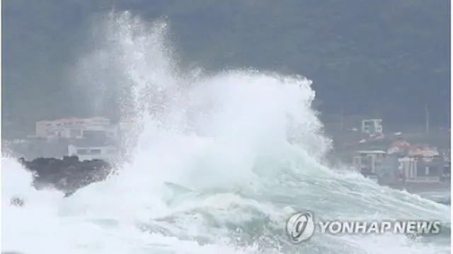 台風の接近で荒れる済州島の海＝25日、西帰浦（聯合ニュース）