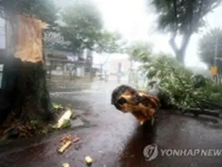 台風８号が済州島の西を通過　強風と４００ミリ超える雨で被害相次ぐ