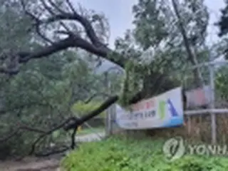 台風8号で南部中心に被害　施設破損や停電＝韓国