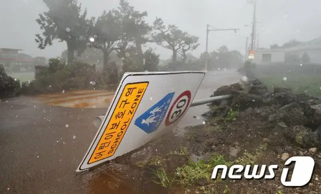 台風9号（MAYSAK）北上、大規模被害に備え事前に避難を＝韓国（画像提供:wowkorea）