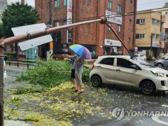 台風１０号による強風で倒れた慶尚南道・昌原市内の街灯（読者提供）＝（聯合ニュース）≪転載・転用禁止≫