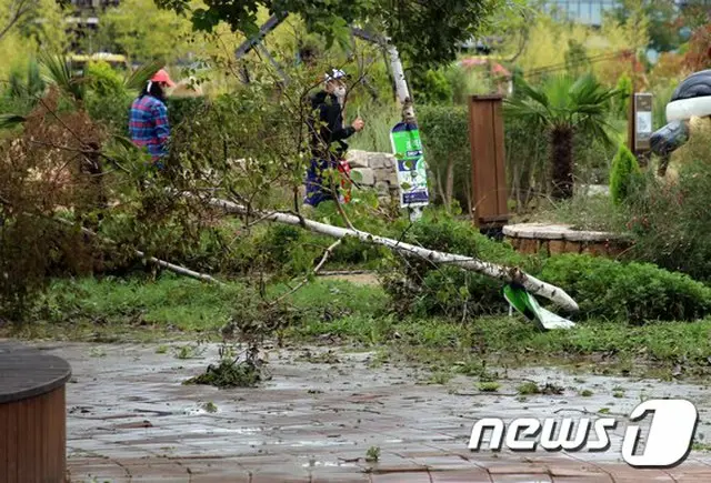 台風10号による行方不明者2人、負傷者5人…施設被害は785件と集計＝韓国（画像提供:wowkorea）