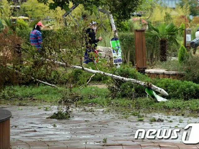 台風10号による行方不明者2人、負傷者5人…施設被害は785件と集計＝韓国（画像提供:wowkorea）