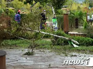 台風10号による行方不明者2人、負傷者5人…施設被害は785件と集計＝韓国