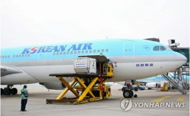 大韓航空のＡ３３０旅客機（同社提供）＝（聯合ニュース）≪転載・転用禁止≫