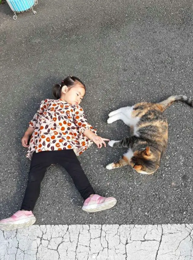 女優ハム・ソウォンの娘ヘジョン、猫と仲良くする為に道端で横になる（画像提供:wowkorea）