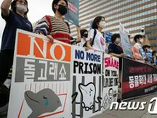 韓国の動物団体「動物ショー禁止法の発議を歓迎…他に楽しめる余暇・教育活動も多い」