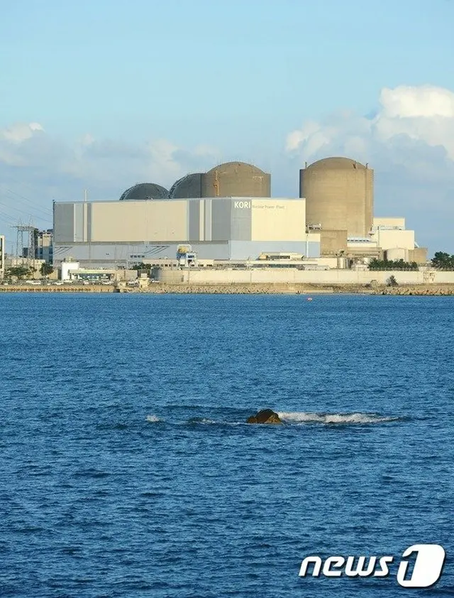 台風9号で稼働停止した原発、正常に運転開始＝韓国（画像提供:wowkorea）