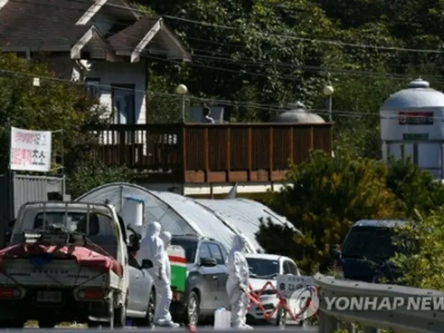 アフリカ豚コレラの感染が確認された養豚場で殺処分作業を行う防疫当局関係者＝９日、華川（聯合ニュース）