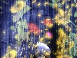 SOL（BIGBANG）、妻ミン・ヒョリンとデート？＝ヒマワリに染まる写真を公開