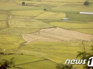 崔竜海副委員長、水害復旧を終えた黄海道を訪れ「農業結束」で国民を鼓舞