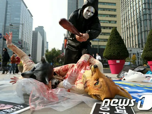 「毛皮反対」、ソウル中心部で過激パフォーマンスに市民騒然＝韓国（画像提供:wowkorea）