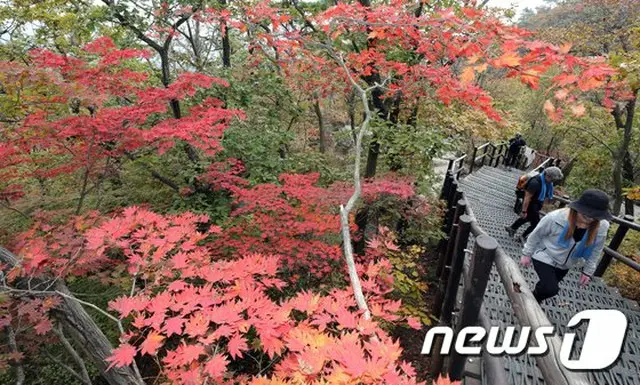 北漢山チョットゥリ峰近くで山火事発生、対応レベル1発令＝韓国（画像提供:wowkorea）