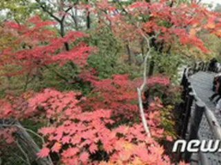 北漢山チョットゥリ峰近くで山火事発生、対応レベル1発令＝韓国