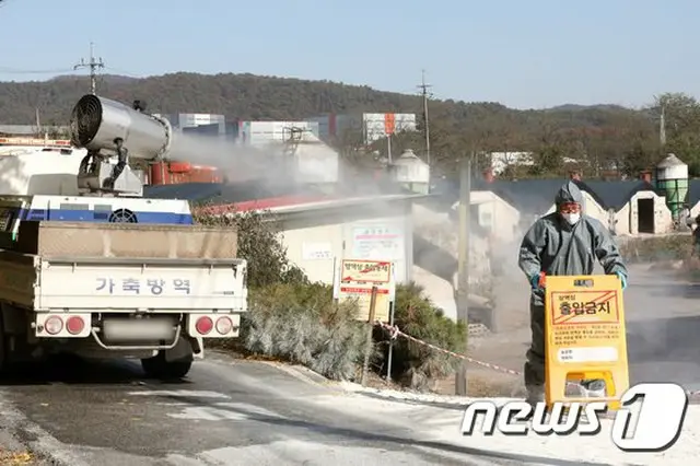 韓国の京畿道 龍仁の養鶏場で、車両による防疫活動がなされている（画像提供:wowkorea）