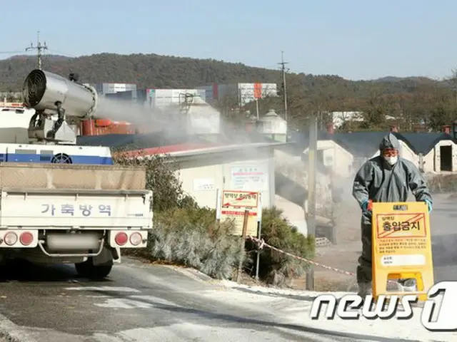 韓国の京畿道 龍仁の養鶏場で、車両による防疫活動がなされている（画像提供:wowkorea）