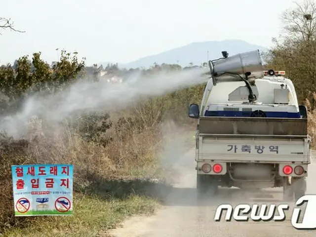 全北プアン（扶安）で野鳥の糞便からAI抗原検出…「予察を強化」=韓国（提供:news1）