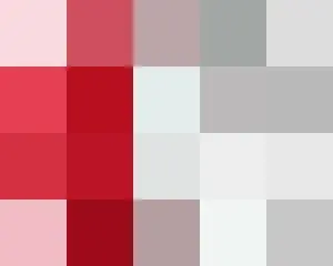 日本政府「バイデン時代、新型コロナ・気候変化など協力強化に期待」＝韓国報道