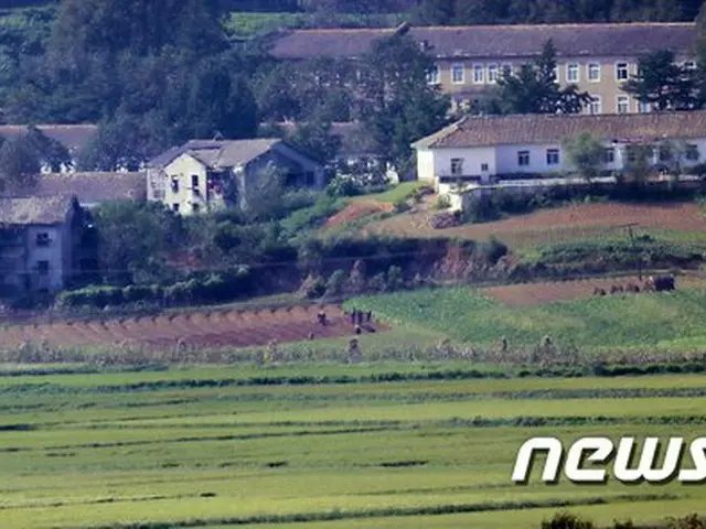 北朝鮮、新型コロナ“食料安全保障”さらに悪化する恐れ＝FAO・WFP（画像提供:wowkorea）