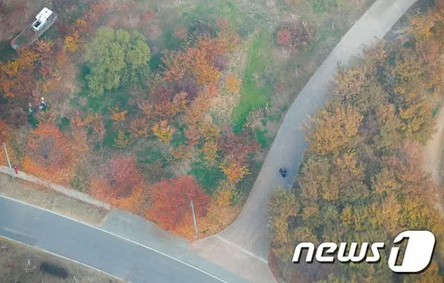 （画像提供:wowkorea）