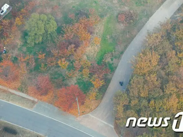 （画像提供:wowkorea）