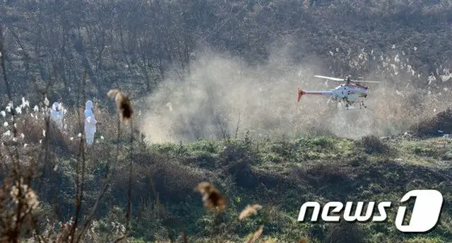 野生鳥類から高病原性AI感染＝韓国江原道襄陽郡（画像提供:wowkorea）
