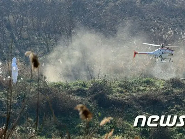 野生鳥類から高病原性AI感染＝韓国江原道襄陽郡（画像提供:wowkorea）