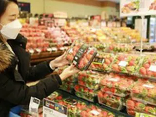 “いちごの季節がやってきた”ロッテマート、相場より安く販売＝韓国