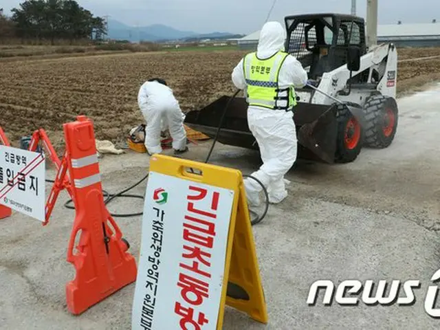 安城・井邑の野性鳥類から高病原性鳥インフルエンザ確認…「全国的に危険」＝韓国（画像提供:wowkorea）