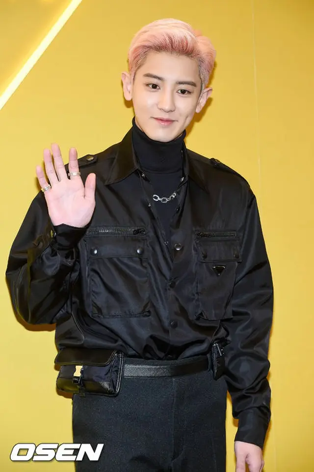 “私生活問題で物議”「EXO」CHANYEOL、「ジャングルの法則」出演めぐり番組ホームページで舌戦続く（画像提供:wowkorea）