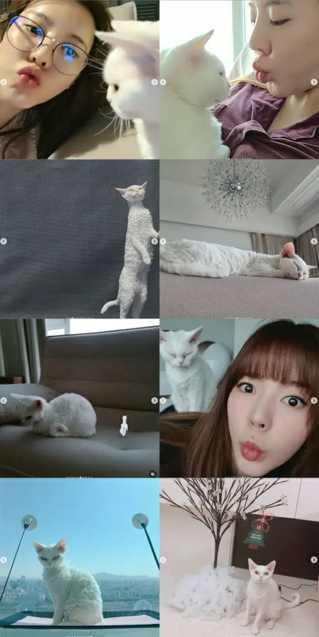 サニー（少女時代）、そっくりな愛猫を公開…“お誕生日おめでとう”（画像提供:wowkorea）