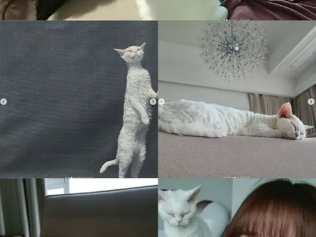 サニー（少女時代）、そっくりな愛猫を公開…“お誕生日おめでとう”（画像提供:wowkorea）