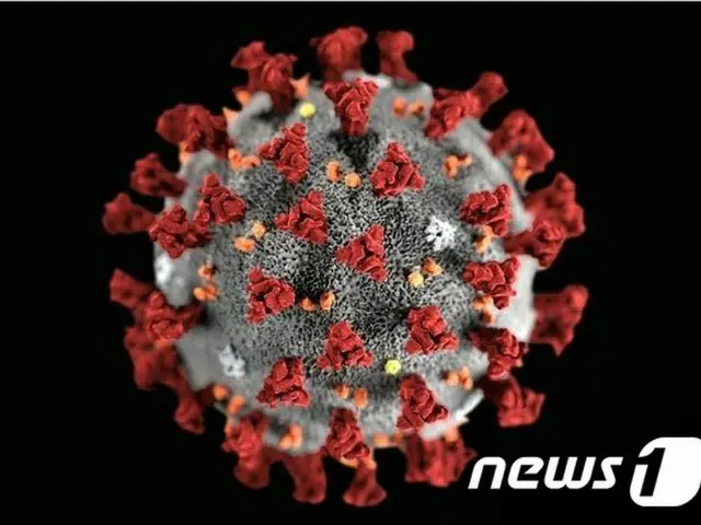 キョンサンナムド（慶南）一晩で感染者が12人増加…累積843人=韓国（提供:news1）