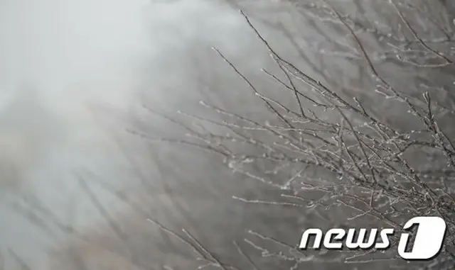チェジュ島(済州)  今冬「初雪」… 昨年より17日早く=韓国（画像提供:wowkorea）