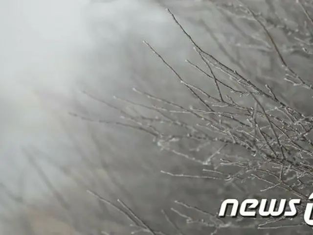チェジュ島(済州)  今冬「初雪」… 昨年より17日早く=韓国（画像提供:wowkorea）