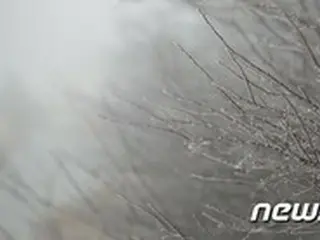 チェジュ島(済州)  今冬「初雪」… 昨年より17日早く＝韓国