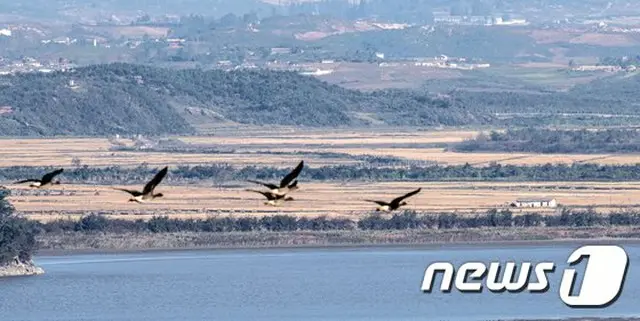 国際人権団体「北朝鮮人権法の共同提案国、韓国の不参加に遺憾」＝VOA報道（画像提供:wowkorea）
