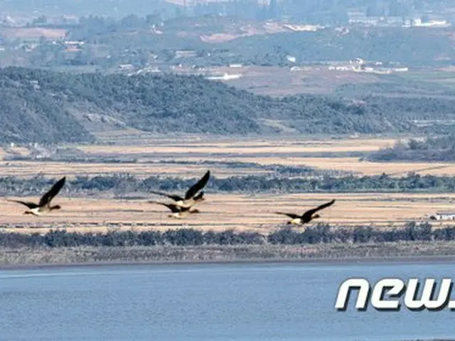 国際人権団体「北朝鮮人権法の共同提案国、韓国の不参加に遺憾」＝VOA報道（画像提供:wowkorea）