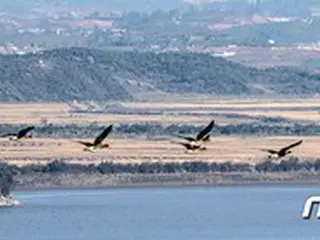 国際人権団体「北朝鮮人権法の共同提案国、韓国の不参加に遺憾」＝VOA報道